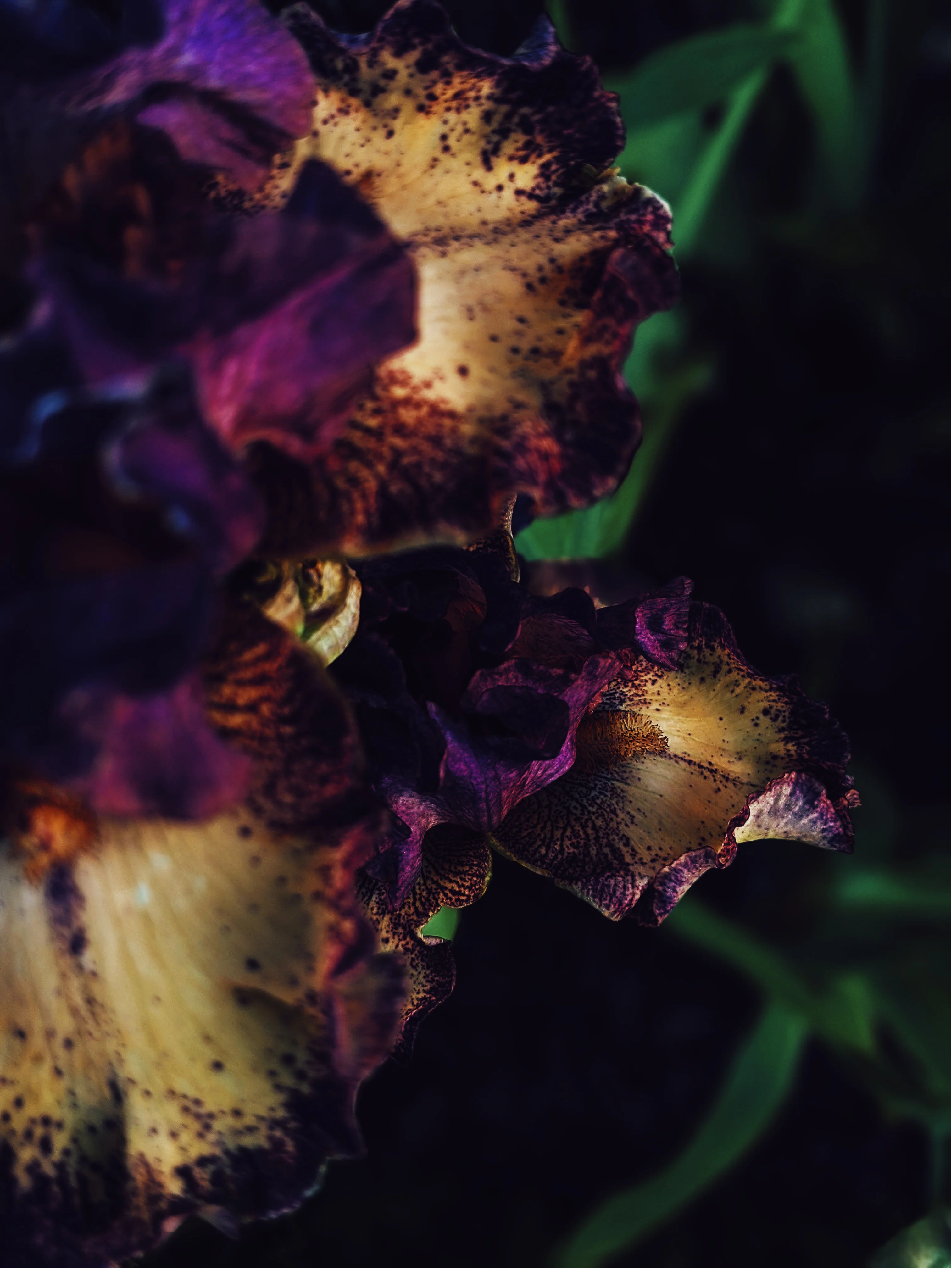 Thumbnail 14