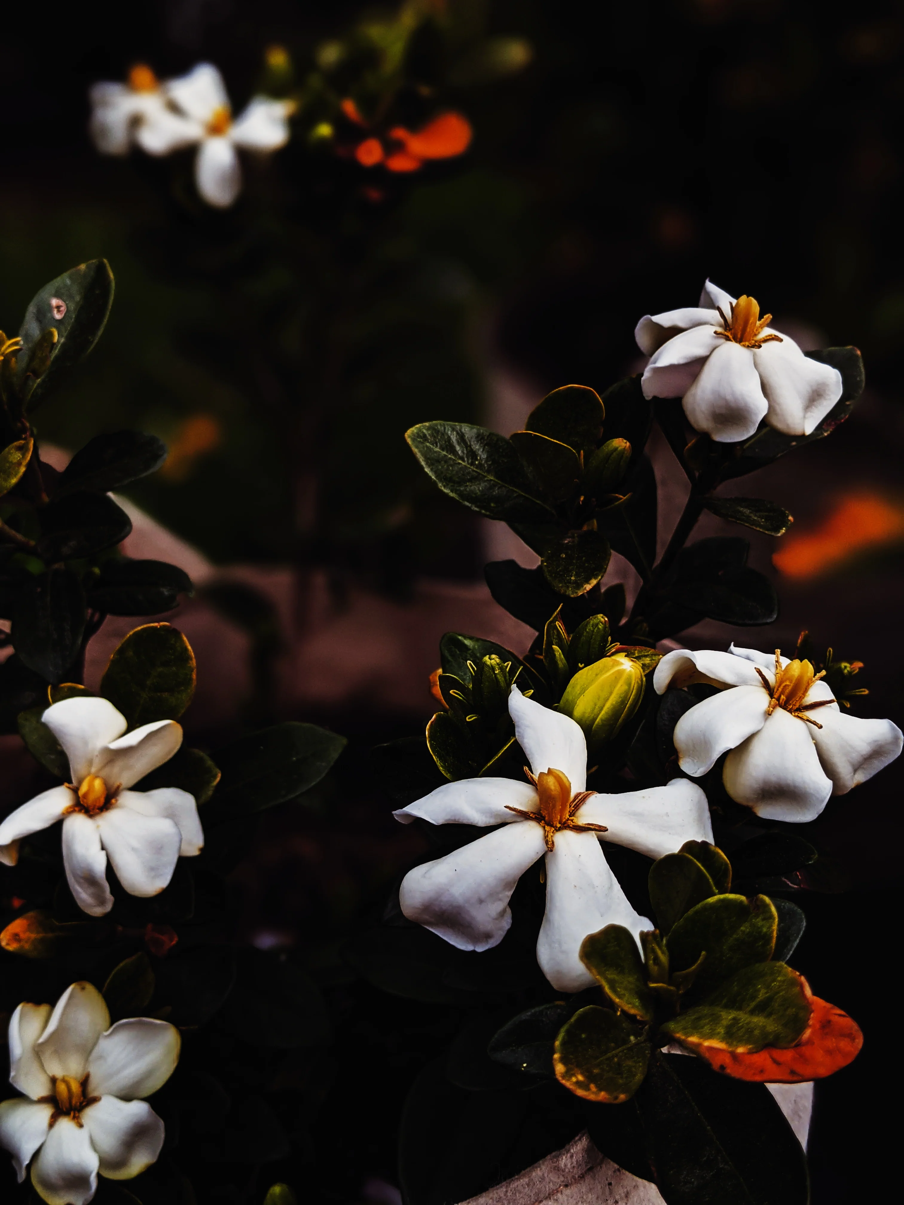 Thumbnail 10