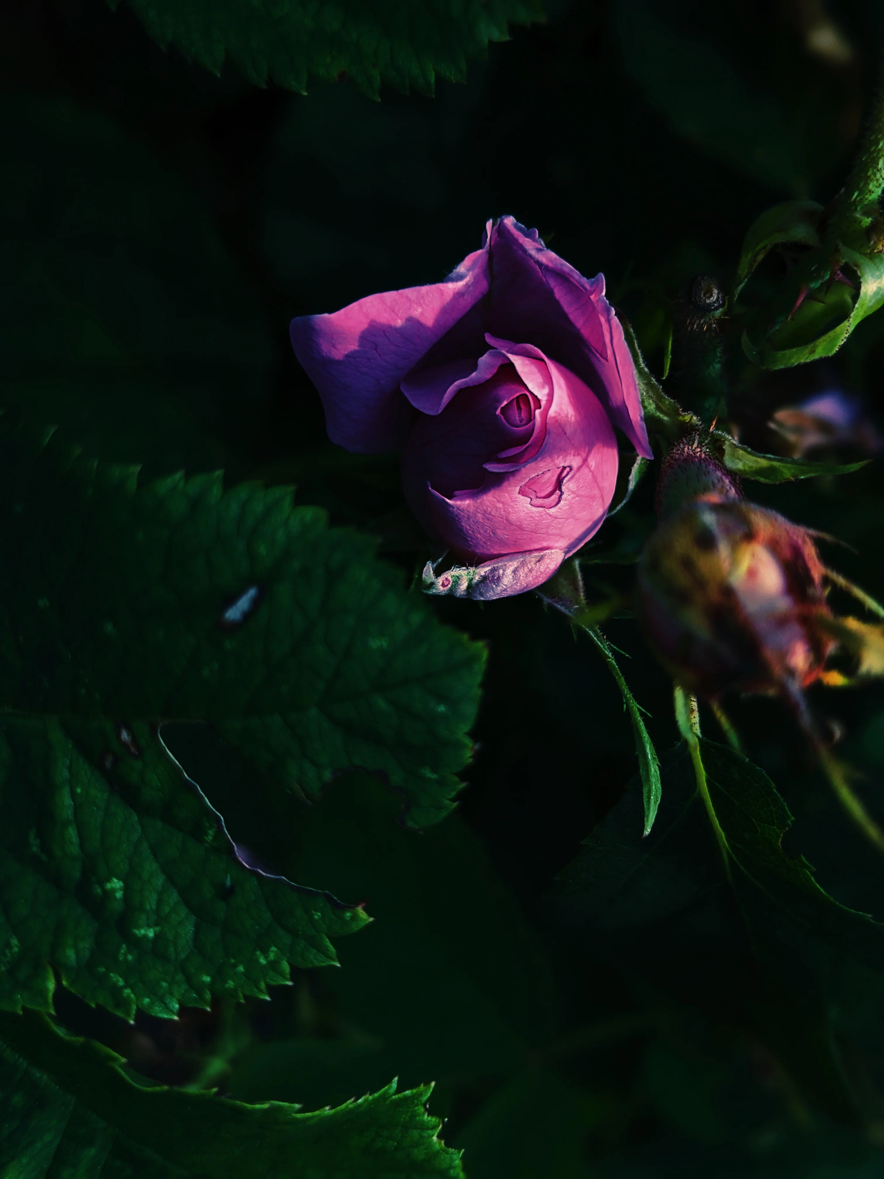Thumbnail 16